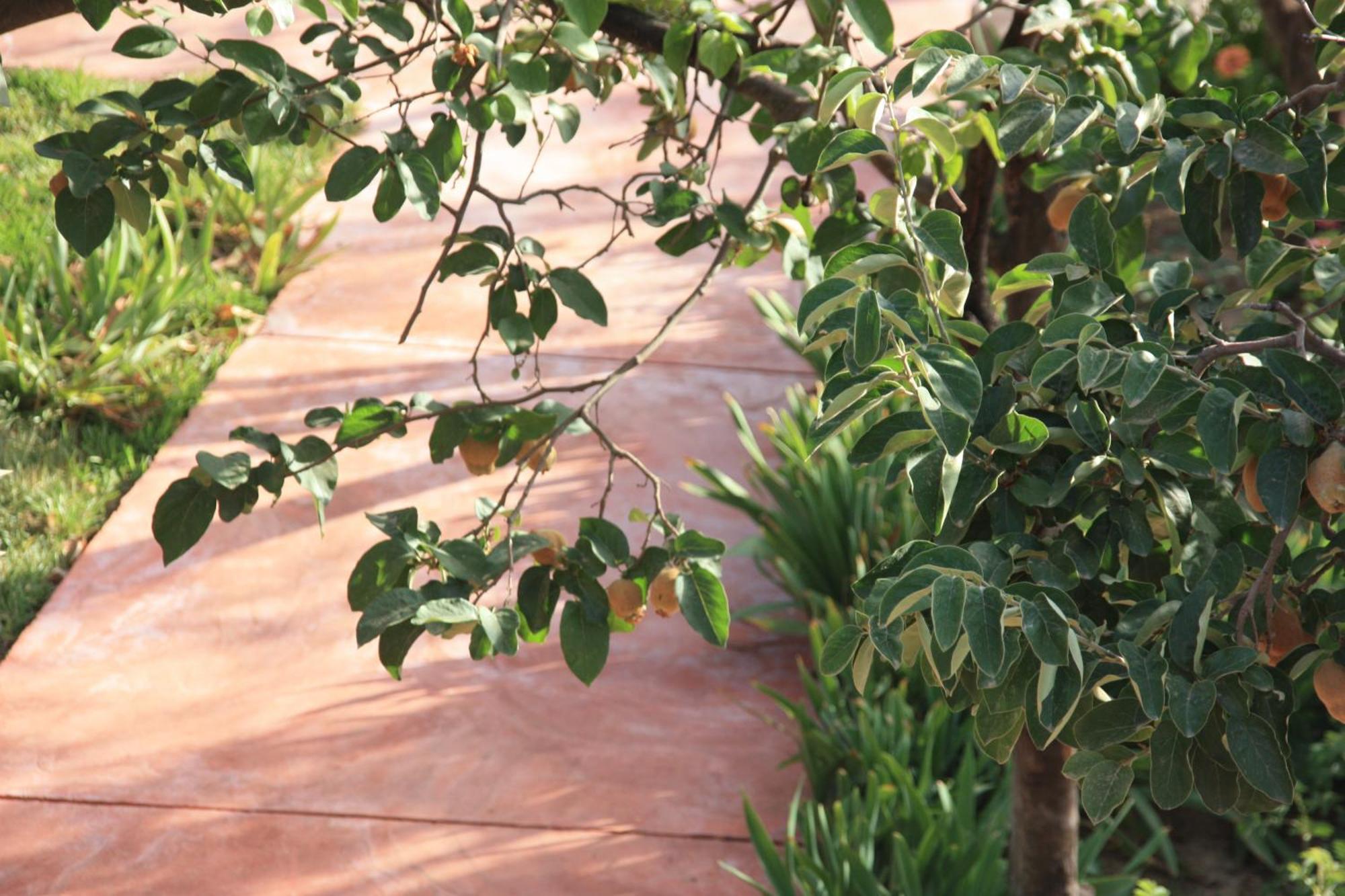 Villa Quince Ouirgane Luaran gambar
