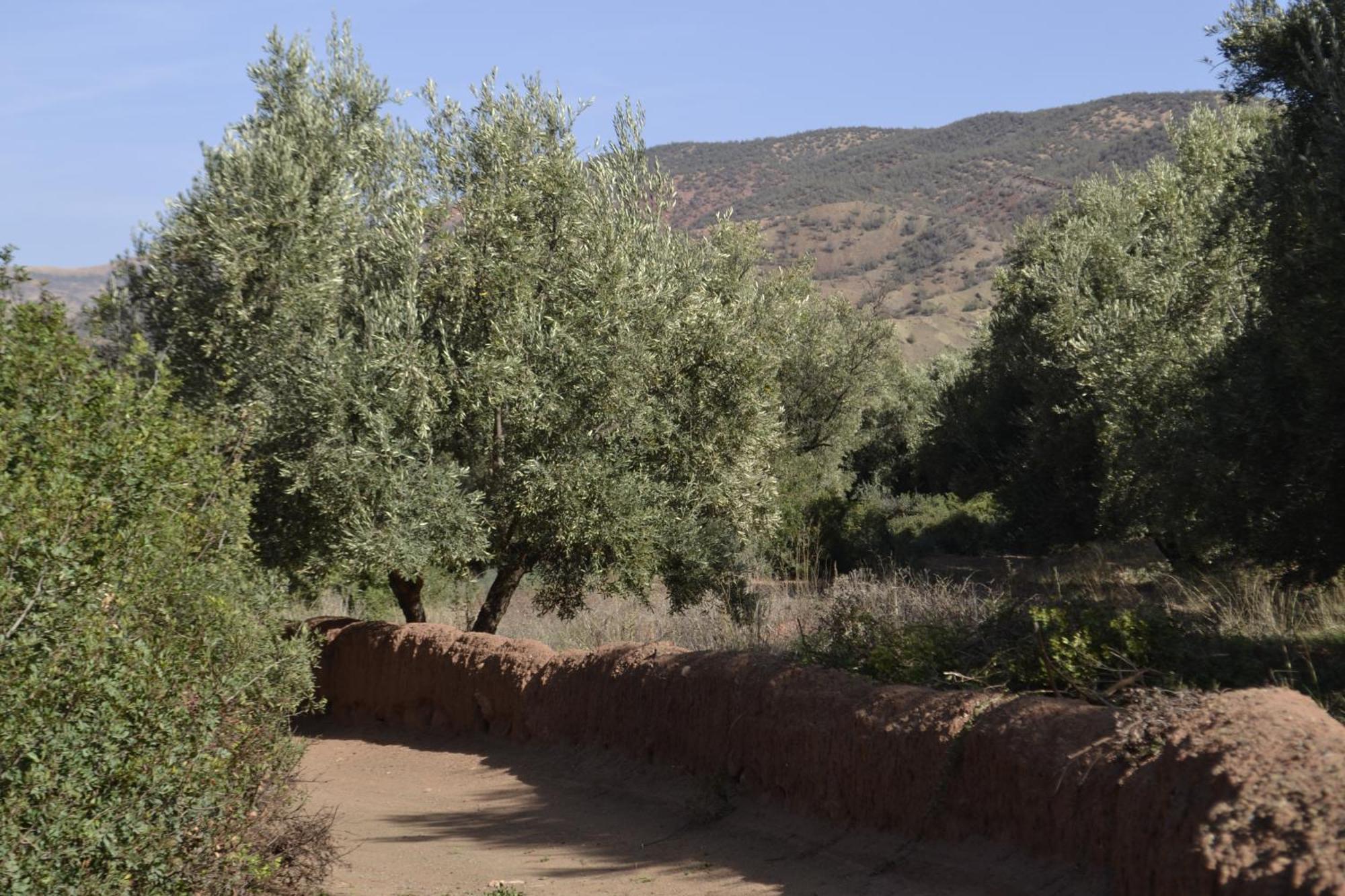 Villa Quince Ouirgane Luaran gambar